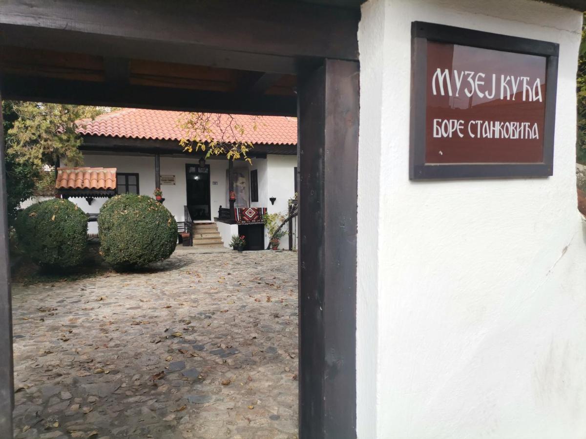 Stan Na Dan Pex Free Parking Appartement Vranje Buitenkant foto